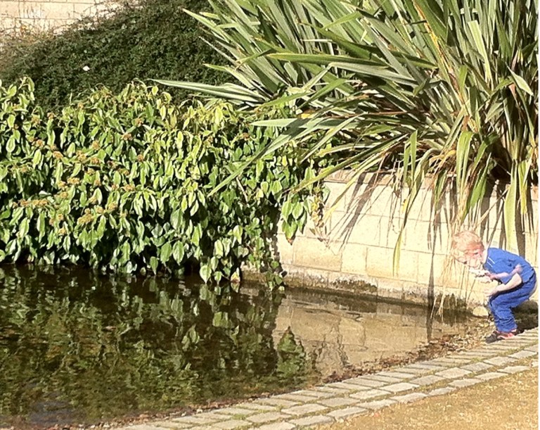 The Inquisitive Youth